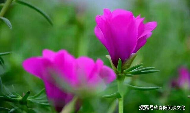 销售茶叶 第103页