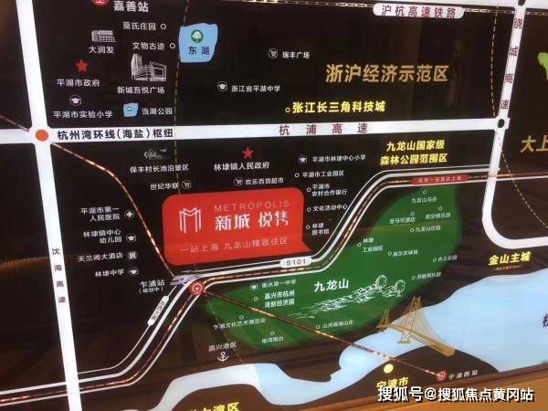 仁果类水果 第106页