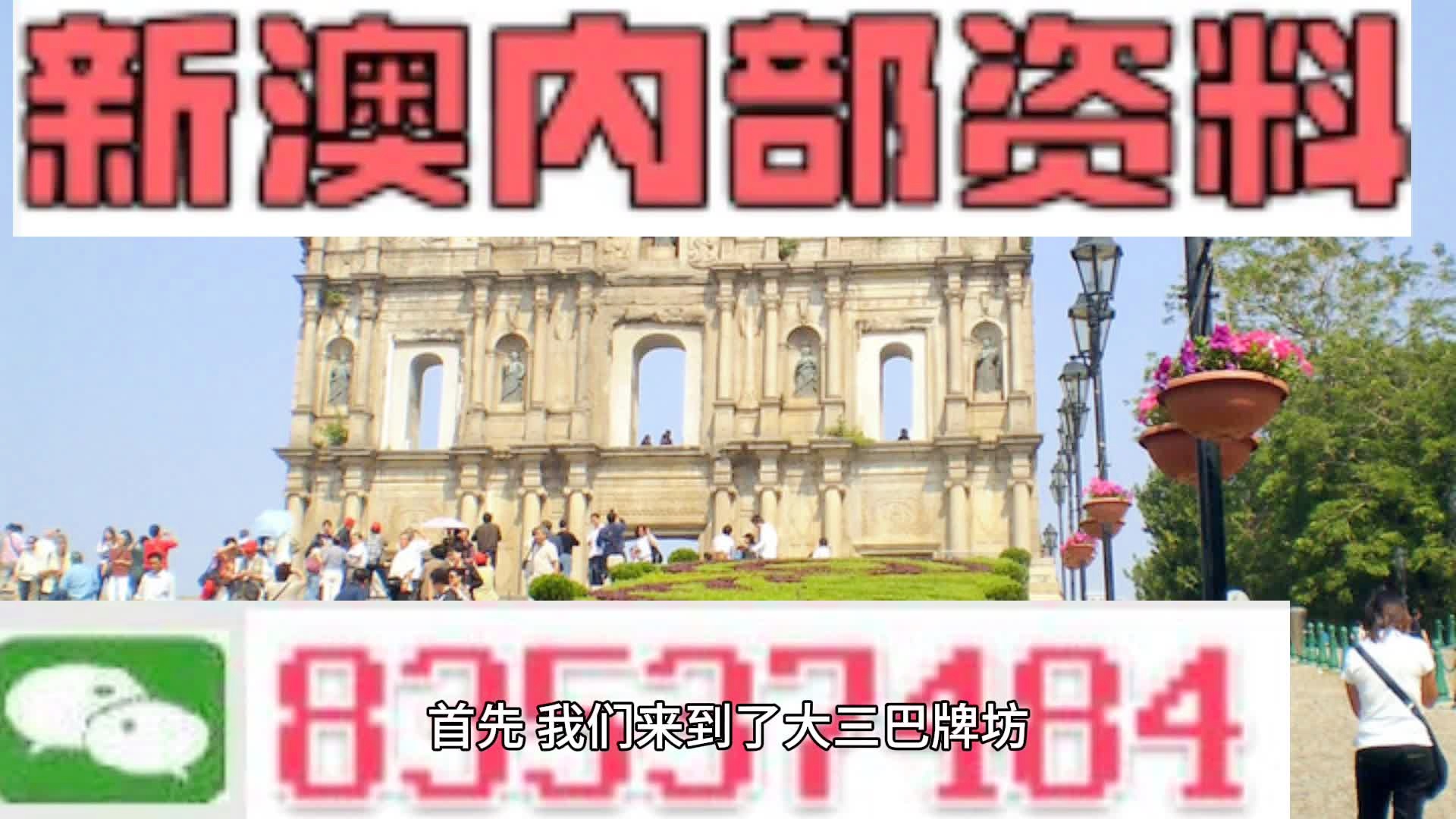 茶叶种植管理 第98页