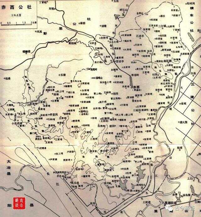 仁果类水果 第95页