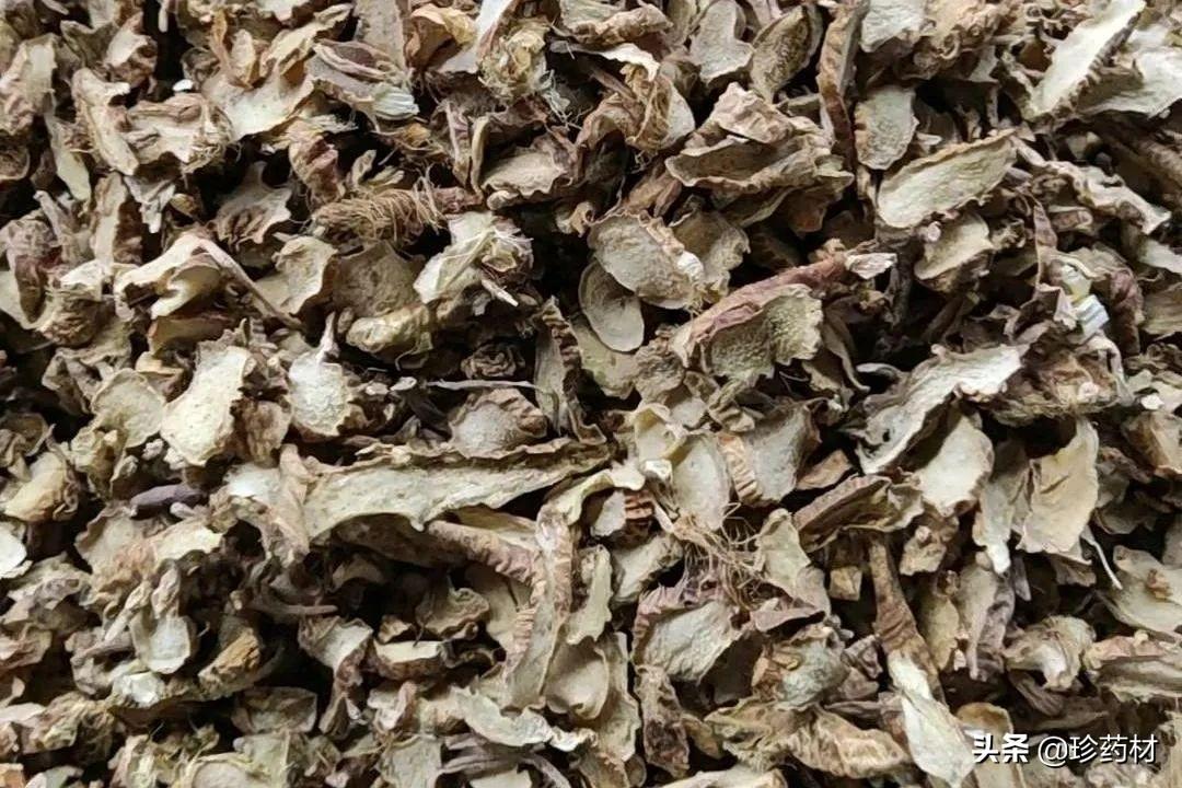 武夷山岩茶 第88页
