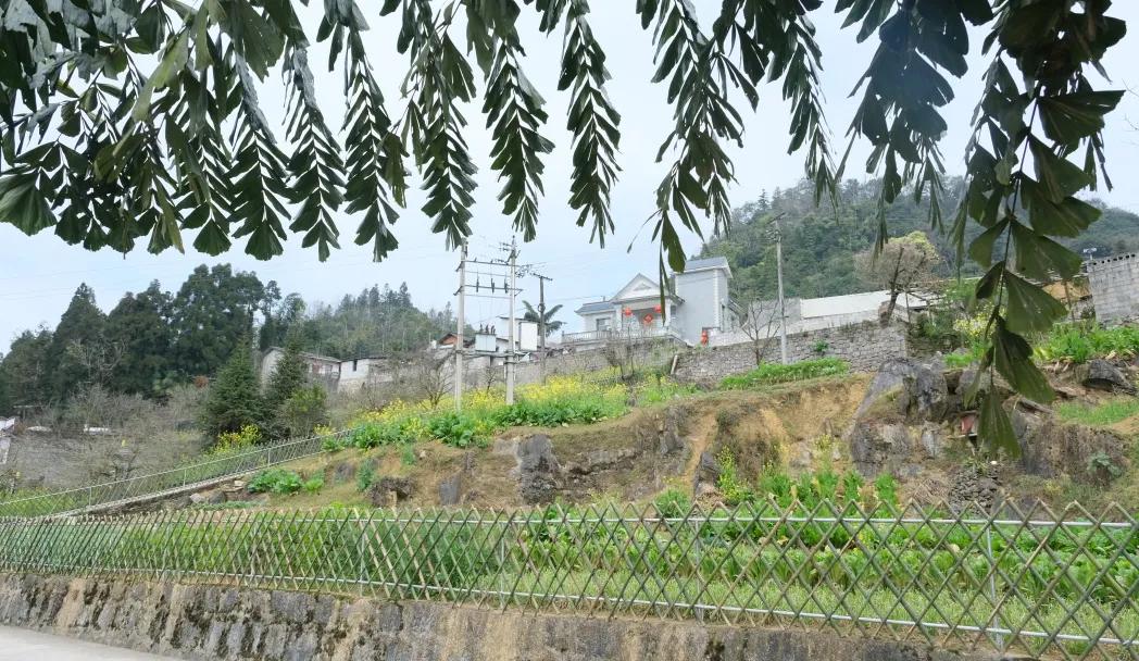 华为荣耀9最新报价揭秘，小巷深处的科技明珠