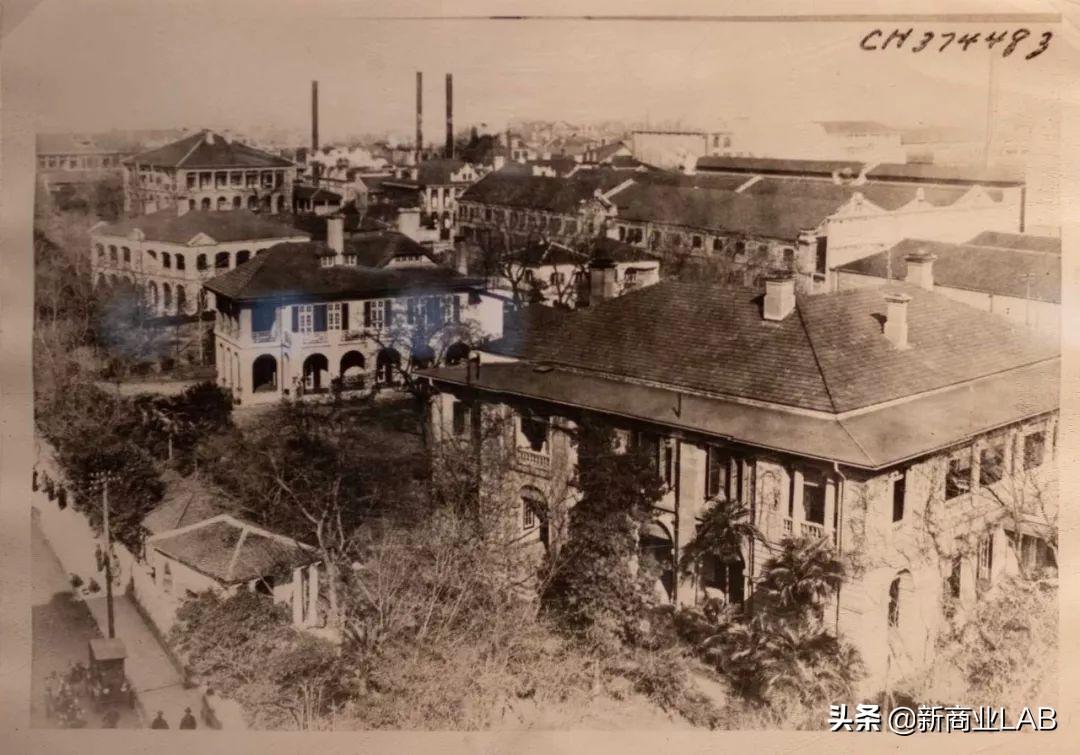 仁果类水果 第75页