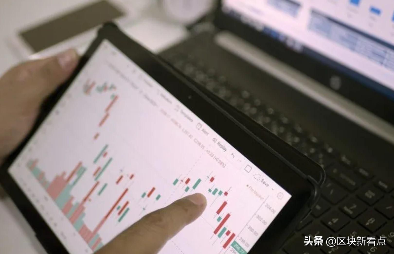 仁果类水果 第62页