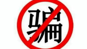 武夷山岩茶 第52页