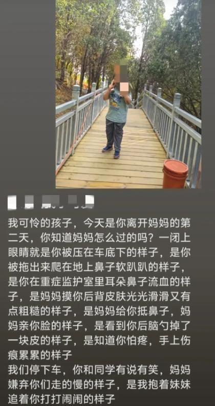 茶叶种植管理 第48页