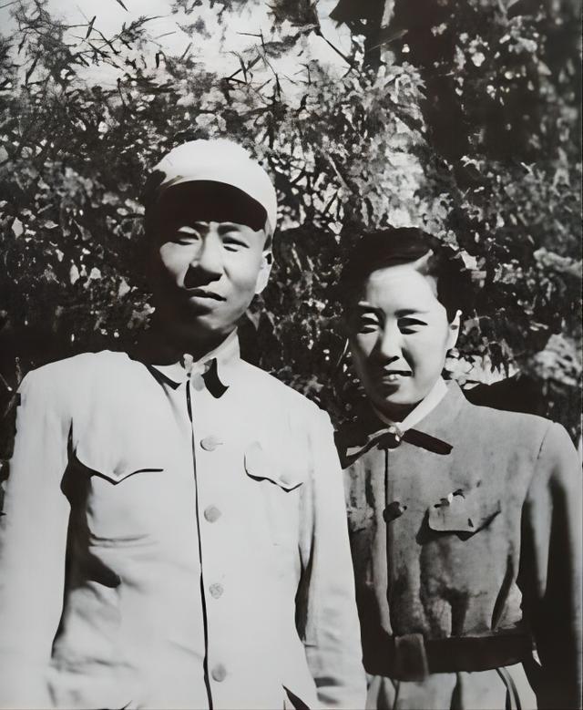 仁果类水果 第44页