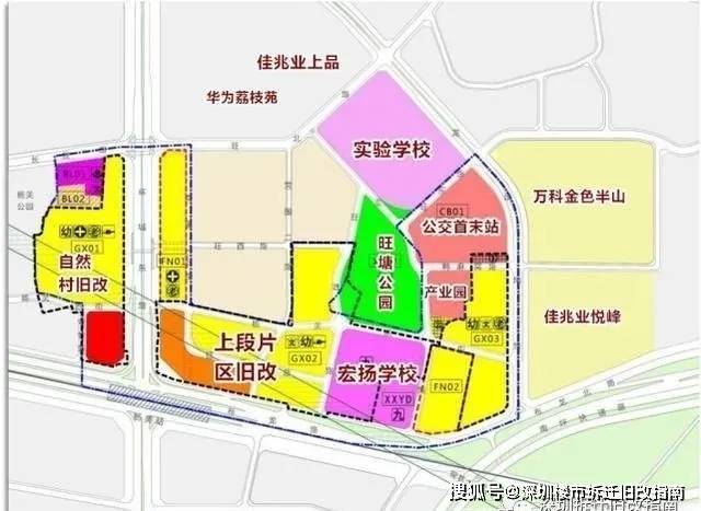 仁果类水果 第30页