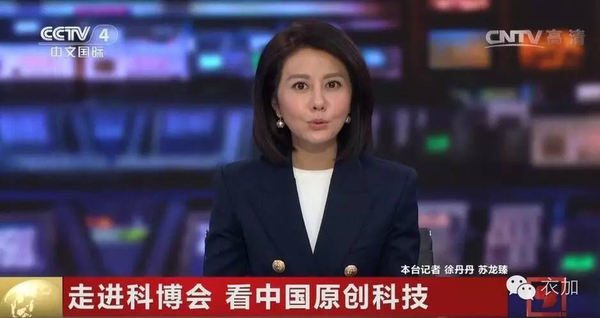 茶叶种植管理 第28页
