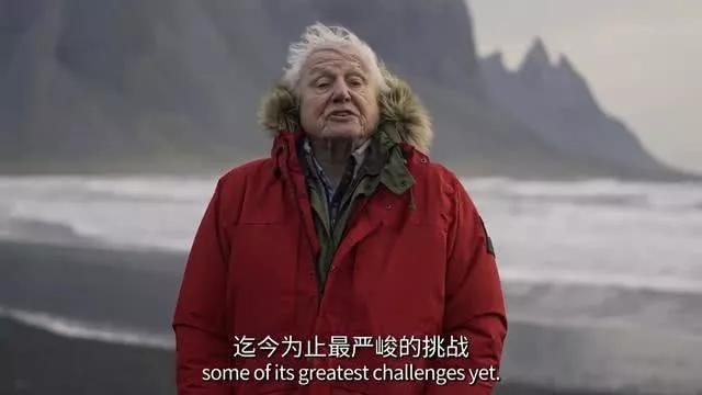 销售茶叶 第17页
